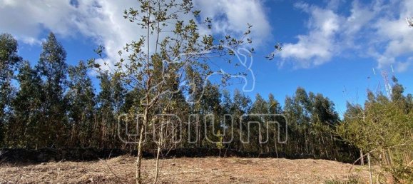 4451m² Land in Caminha, Portugal No. 203861 7