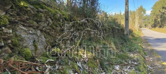 4451m² Land in Caminha, Portugal No. 203861 5