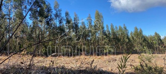 4451m² Land in Caminha, Portugal No. 203861 8