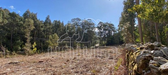 4451m² Land in Caminha, Portugal No. 203861 4