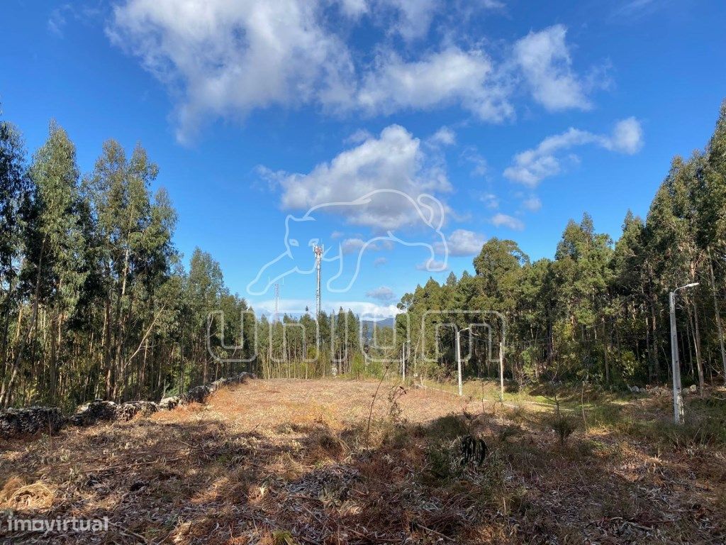 4451m² Land in Caminha, Portugal No. 203861