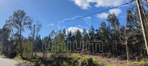 4451m² Land in Caminha, Portugal No. 203861 9