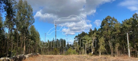 4451m² Land in Caminha, Portugal No. 203861 2