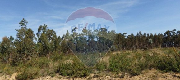 Terreno en Oliveira do Bairro, Portugal 5600 m² No. 66077 6