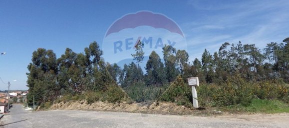 Terreno en Oliveira do Bairro, Portugal 5600 m² No. 66077 5