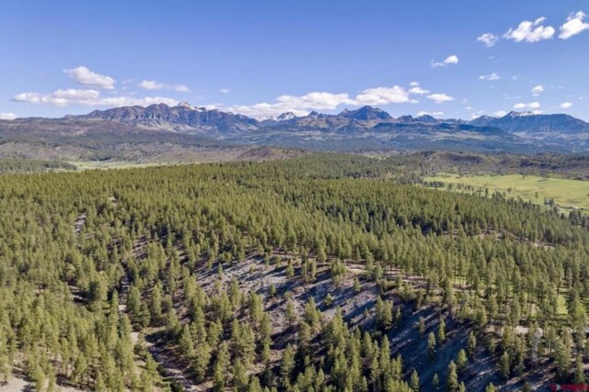  Land in Pagosa Springs, USA No. 491999