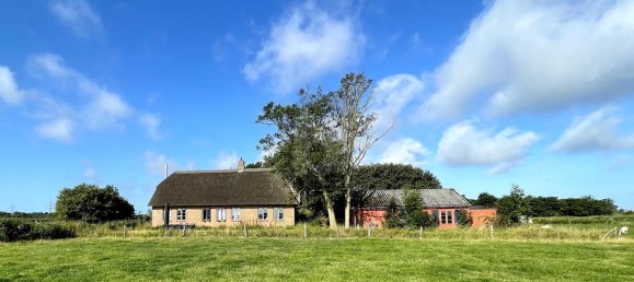 4 rooms House in Nordfriesland, Germany No. 313365 2