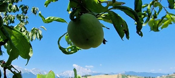 Дом с 2 спальнями в Бизенти, Италия № 279735 8