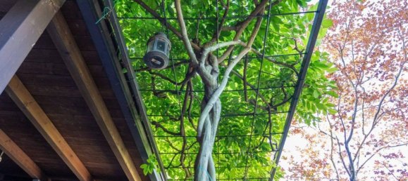 4 rooms House in Bomporto, Italy No. 290505 47