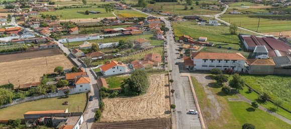 Land in Murtosa, Portugal No. 285625 2