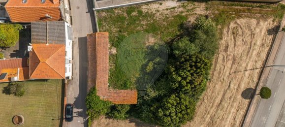 Land in Murtosa, Portugal No. 285625 3