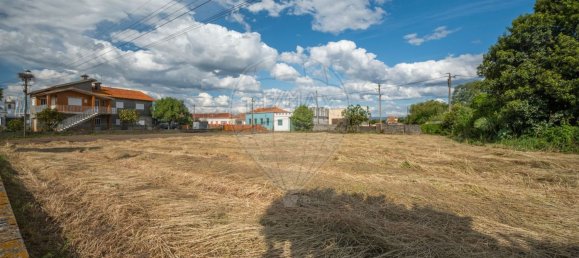 Land in Murtosa, Portugal No. 285625 6