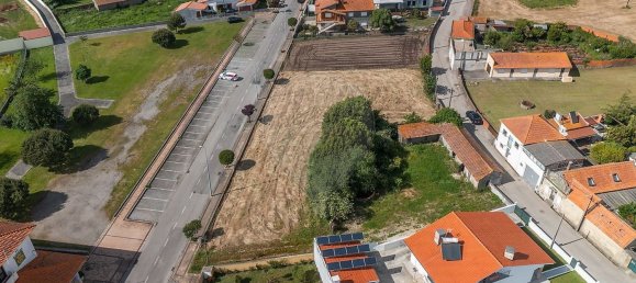 Land in Murtosa, Portugal No. 285625 7