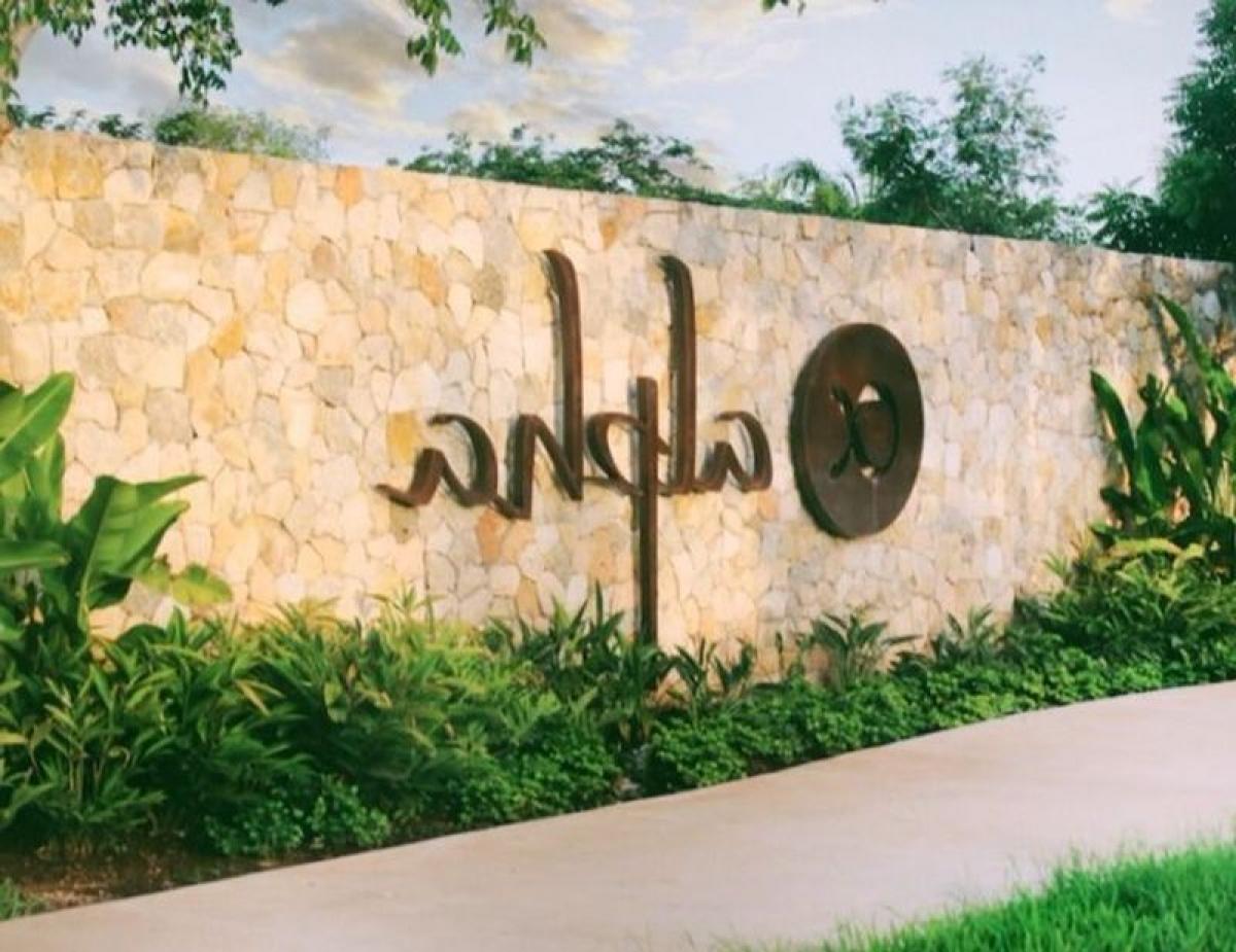 Terrain à Merida, Mexico No. 126826