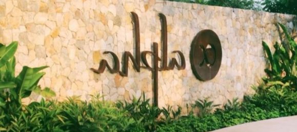 Terrain à Merida, Mexico No. 126826 2