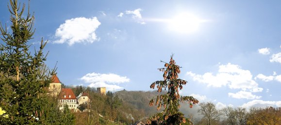 6-Zimmer Stadthaus in Heilbronn, Germany, Nr. 18247 12