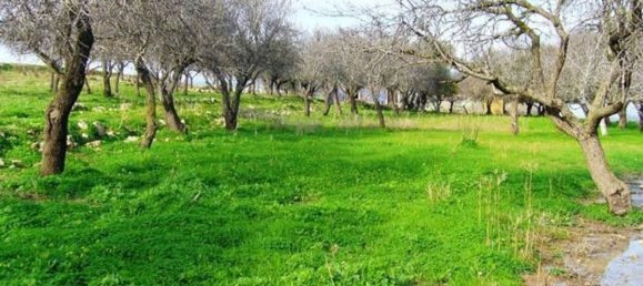 Casa de 3 divisões em Pachino, Italy N.º 66600 2