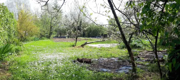 3 bedrooms House in Thure, France No. 333744 11