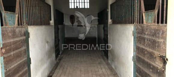 4 bedrooms Land in Vale de Santarem, Portugal No. 99390 19