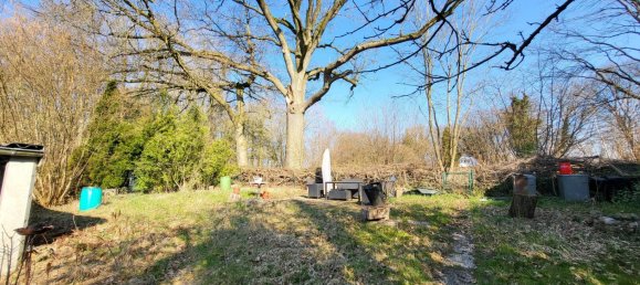 9 rooms Townhouse in Segeberg, Germany No. 82948 2