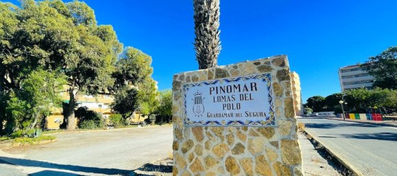 Квартира с 2 спальнями в Гуардамар-дель-Сегура, Испания № 180273 5