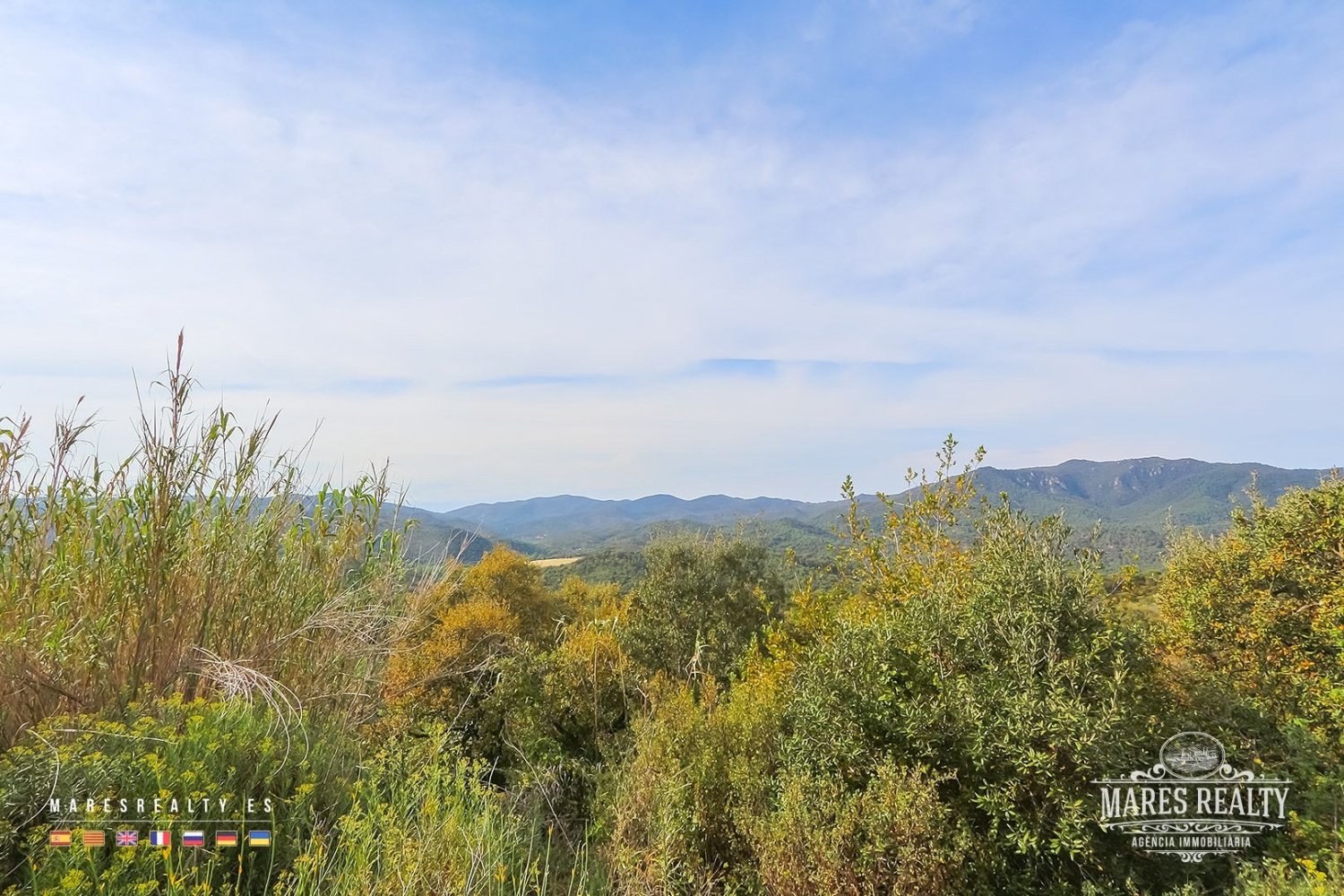 17000m² Land in Tossa de Mar, Spain No. 10704