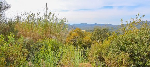 17000m² Land in Tossa de Mar, Spain No. 10704 7