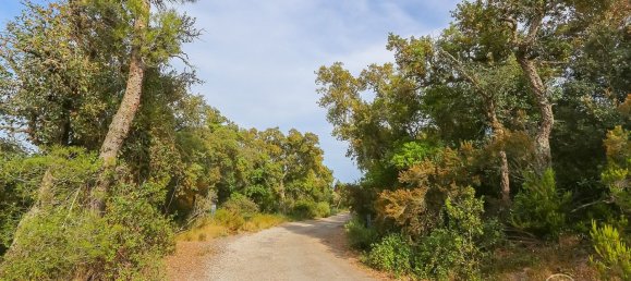 17000m² Land in Tossa de Mar, Spain No. 10704 11