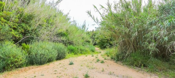 17000m² Land in Tossa de Mar, Spain No. 10704 9