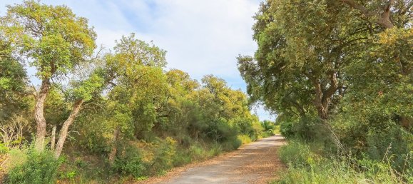 17000m² Land in Tossa de Mar, Spain No. 10704 10