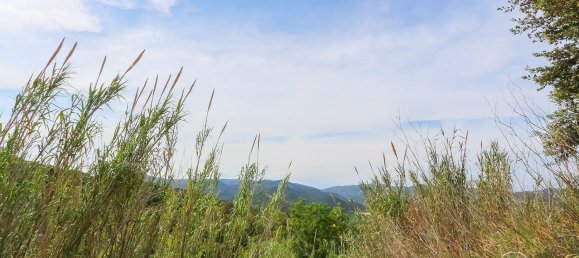 17000m² Land in Tossa de Mar, Spain No. 10704 5