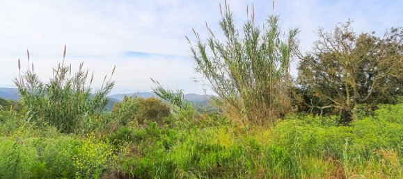 17000m² Land in Tossa de Mar, Spain No. 10704 4