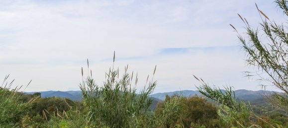 17000m² Land in Tossa de Mar, Spain No. 10704 3