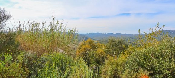 17000m² Land in Tossa de Mar, Spain No. 10704 8