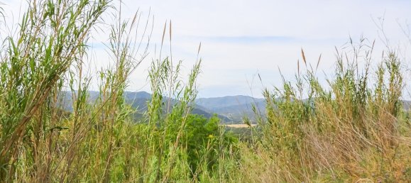 17000m² Land in Tossa de Mar, Spain No. 10704 2