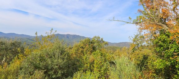 17000m² Land in Tossa de Mar, Spain No. 10704 6