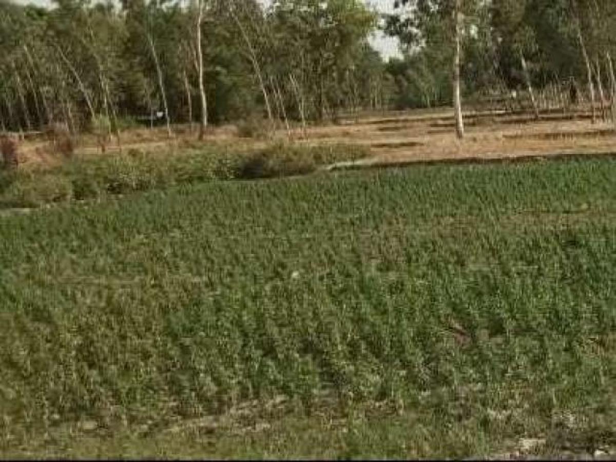  Land in Lucknow, India No. 34375