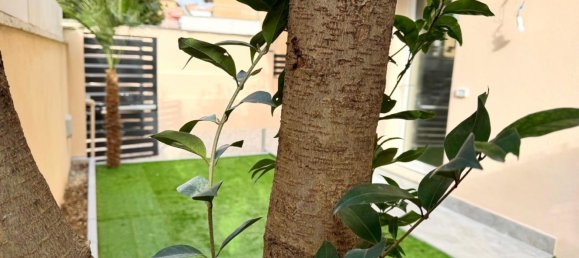 2 rooms Apartment in Rome, Italy No. 198005 9