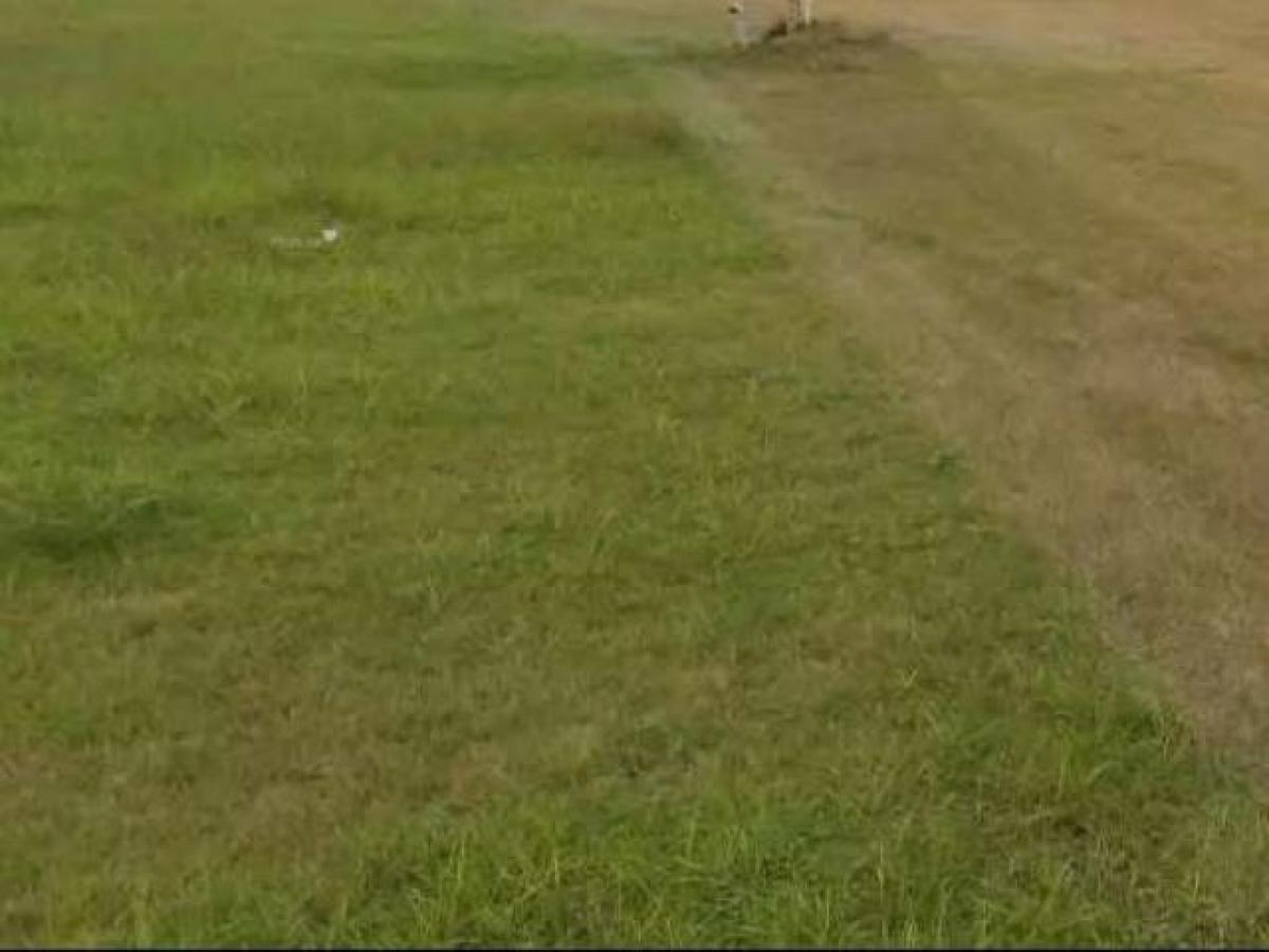 Grundstück in Noida, India, Nr. 65648