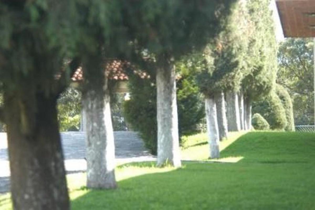  Land in Ciudad Lopez Mateos, Mexico No. 202746