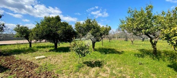 Estúdio em Mesagne, Italy N.º 59234 20