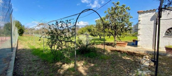 Estúdio em Mesagne, Italy N.º 59234 6