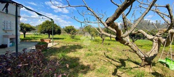 Estúdio em Mesagne, Italy N.º 59234 13