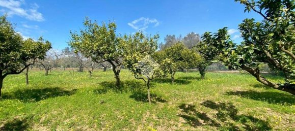 Estúdio em Mesagne, Italy N.º 59234 10