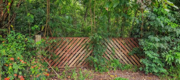 Земельный участок в Чиангмай, Таиланд № 59599 6