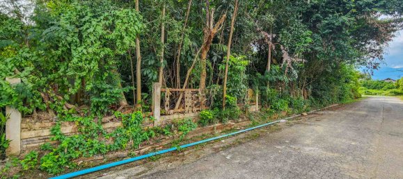 Земельный участок в Чиангмай, Таиланд № 59599 9