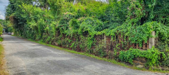 Земельный участок в Чиангмай, Таиланд № 59599 10