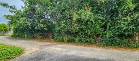 Земельный участок в Чиангмай, Таиланд № 59599 7