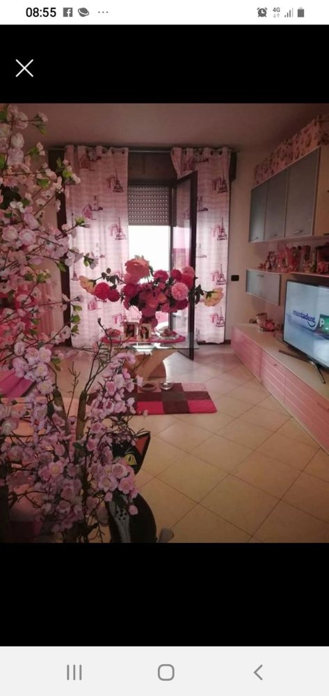 5-Zimmer Wohnung in Vergato, Italy, Nr. 253942