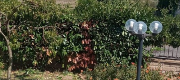 7 Schlafzimmer Haus in Rome, Italy, Nr. 372810 8